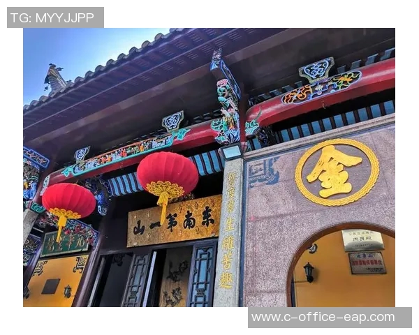 飞盘追梦：周娜的竞技人生与心灵对话之旅