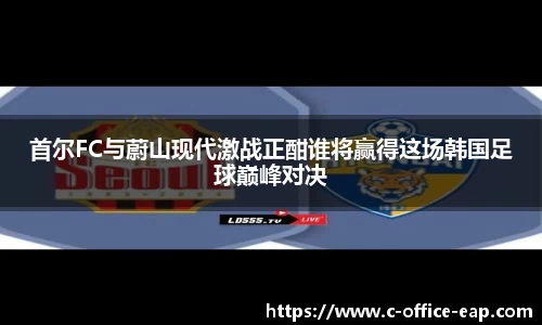 首尔FC与蔚山现代激战正酣谁将赢得这场韩国足球巅峰对决